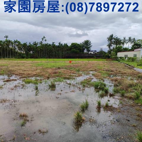 新埤農地-3