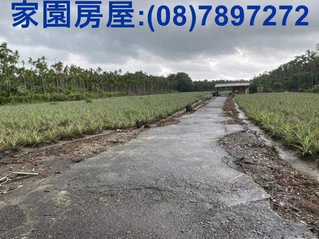 屏東農地-2