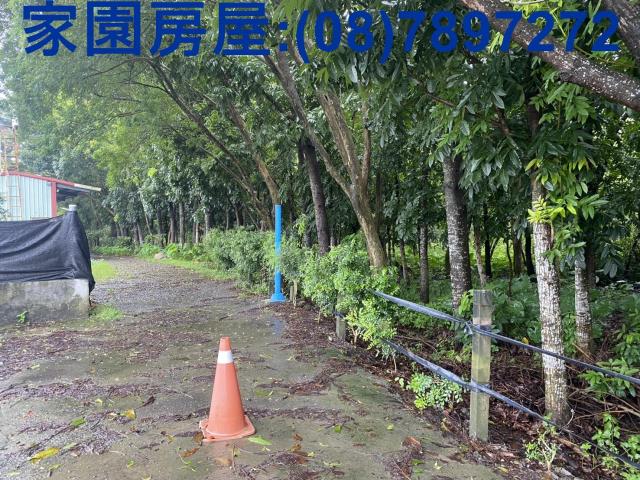 潮州農地-2