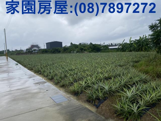 屏東潮州農地-1