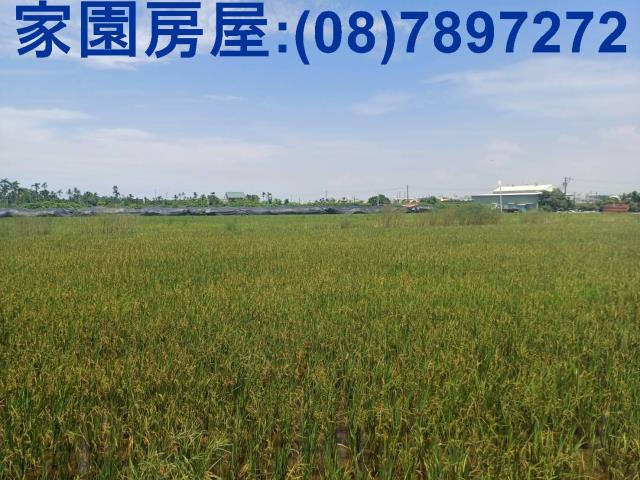 南州農地-1