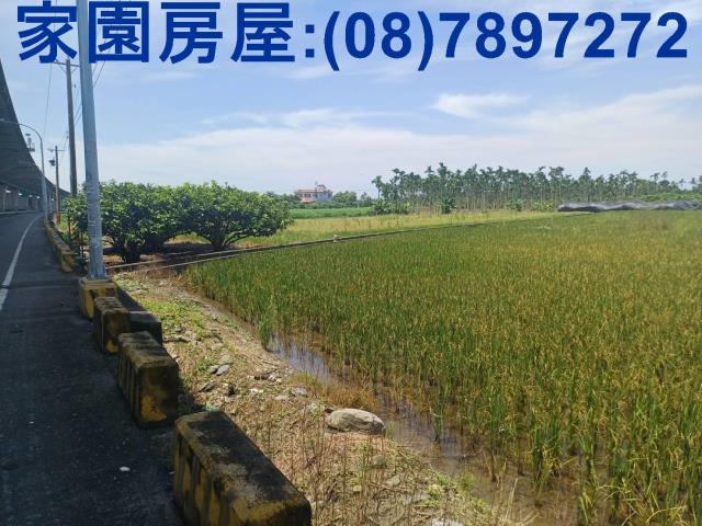 南州農地-2