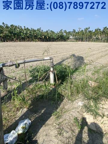 屏東農地-5