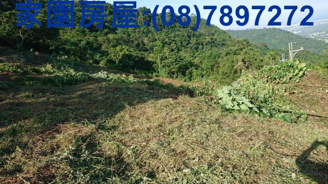 卑南農地-4